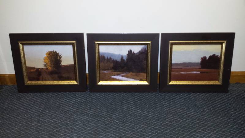lot 1016 image: Shadow Catchers Gallery Set of 3 Framed High-Quality Landscape Prints