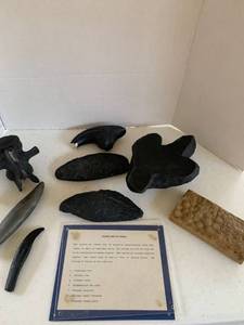 lot 4026 image: Plaster casts of fossils