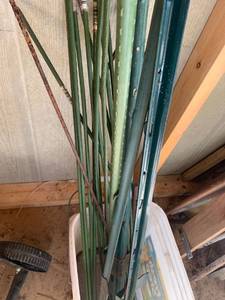 lot 5032 image: tree and plant Bruce poles