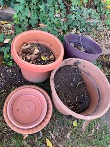 lot 5112 image: Plastic flower, pots, and saucers and clay saucer