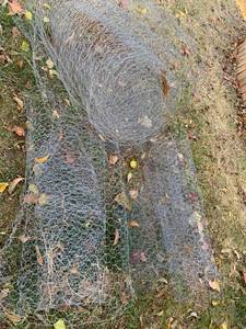 lot 5149 image: Chicken wire