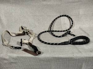 lot 51249 image: Lot Of Leashes