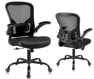 lot 31974 image: Flysky Ergonomic Office Chair - Lumbar Support