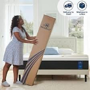 lot 31061 image: 10in Queen Mattress