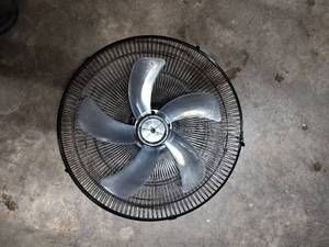 lot 3797 image: 16 Pedestal Fan Black 2pk