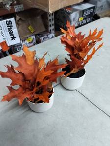 lot 5636 image: 2 Faux Mini Plants In OrangeRed