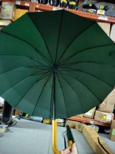 lot 1642 image: Green Umbrella 36