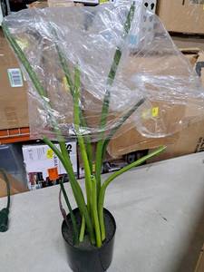 lot 5612 image: Fake Desk Plant