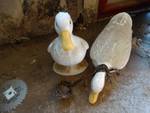 2 ceramic geese