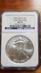2010 American Silver Eagle Early Releases MS70