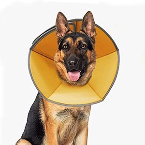 lot 1036 image: Dog Cone Collar Soft, Pet Recovery Cone for Dogs and Cats, Protective Collar After Surgery for Small Medium Large Dogs(Large) Retail $24.99