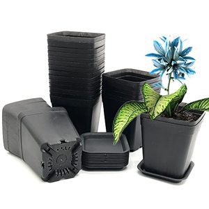 lot 1077 image: 3 Inch Nursery Pot,23 Pack Black Small Plastic Square Flower Planting Pot,Square Plants Pots,Plant Starting Container with Drainage Hole Retail $12.99