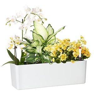 lot 1247 image: Elongated Self Watering Planter Pots Window Box 5.5 x 16 inch with Coconut Coir Soil Indoor Home Garden Modern Decorative Pot for All House Plants Flowers Herbs (White,1-Pack) Retail $27.99