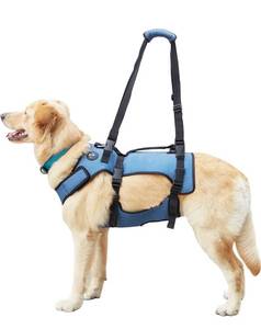 lot 789 image: Coodeo Dog Lift Harness, Support & Recovery Sling, Pet Rehabilitation Lifts Vest Adjustable Breathable Straps for Old, Disabled, Joint Injuries, Arthritis, Paralysis Dogs Walk (Medium)