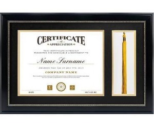lot 1839 image: GraduatePro 11x17 Diploma Frame with Tassel Holder for 8.5x11 Certificate Shadow Box, Black Frame Gold Rim with Double Mat Black Over Gold, Real Glass
