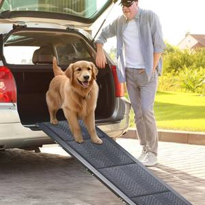 lot 1867 image: Morpilot Dog Ramp for Car, 63 Long & 17 Wide Folding Portable Pet Ramp with Non-Slip Carpet Surface, Lightweight & Durable Dog Ramps for Large Dogs up to 200LBS, Dog Ramp for Cars, Suvs & Trucks