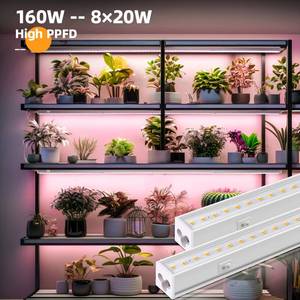 lot 1903 image: Barrina T5 Grow Lights, Full Spectrum, 4ft 160W (8 x 20W, 1000W Equivalent)