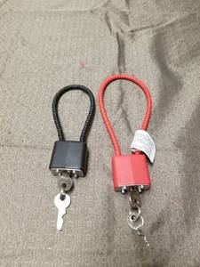 lot 40235 image: Pair of Gun Locks