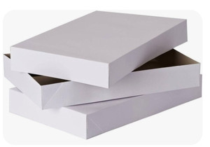 lot 170595 image: Holiday Time Deep Robe Boxes 17 x 11 x 3.5 (2 Boxes In Pack)