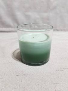 lot 170628 image: Hudson43 3-wick Premium Scented 14oz Candle, Eucalyptus Rain