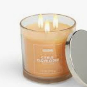 lot 170638 image: HUDSON 43 CITRUS CLOVE CIDER 3 WICK 14 OZ CANDLE