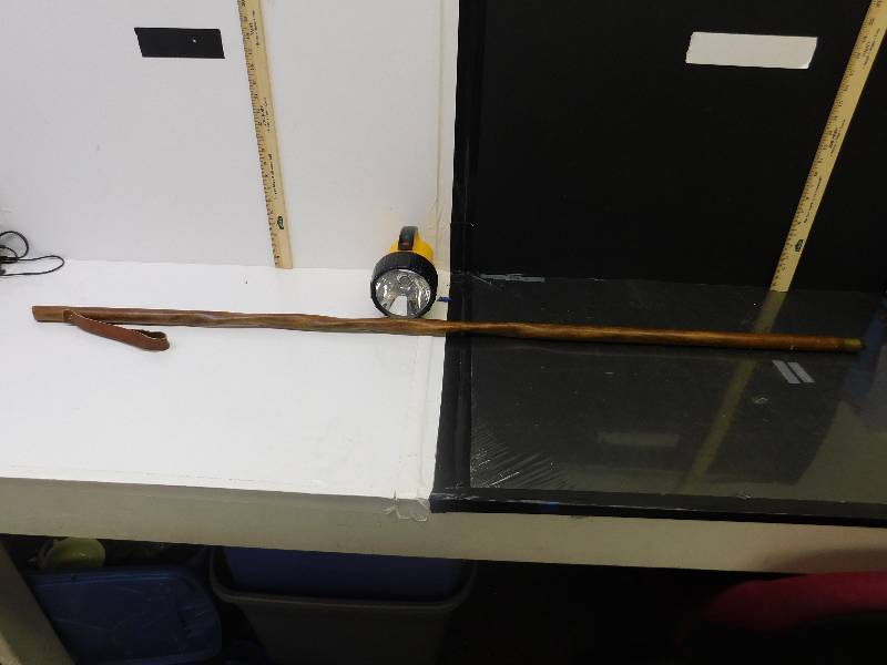 lot 8070 image: Rayovac Self Standing Flashlight and 5 Tall Walking Stick.