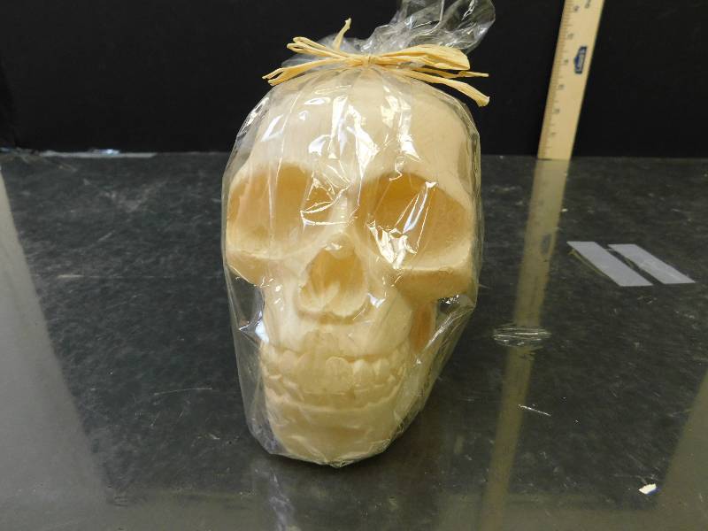 lot 8243 image: Detailed Skull Candle in Origincal Plastic.