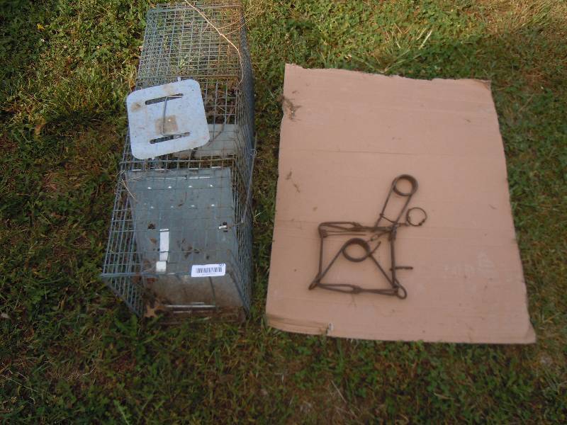 lot 567 image: Critter Trap and More