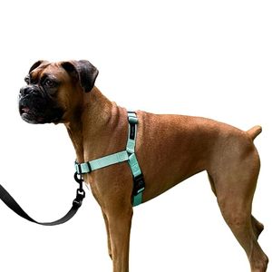 lot 4253 image: ShawnCo Dream Walk No-Pull Dog Harness- Adjustable, Comfortable, Easy to Use Pet Halter to Help Stop Pulling for Small, Medium and Large Dogs (Seafoam, M)