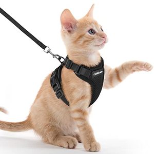 lot 4285 image: rabbitgoo Cat Harness and Leash for Walking, Escape Proof Soft Adjustable Vest Harnesses for Cats, Easy Control Breathable Reflective Strips Jacket, Black, XXS