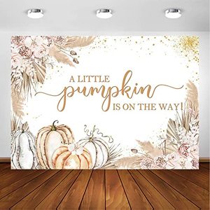 lot 4321 image: Avezano Little Pumpkin Pampas Grass Baby Shower Backdrop for Girl Pumpkin Baby Shower Party Decorations Photography Background Autumn Fall Baby Shower Party Photoshoot Backdrops (7x5ft)