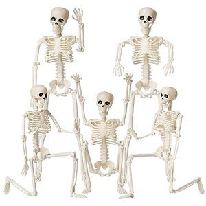 lot 1429 image: Halloween Skeletons Decorations, 16 Posable Plastic Skeleton 5 Packs, Full Body Skeleton Bulk with Movable Joints, Realistic Spooky Scary Skeletons for Outdoor Indoor Halloween Party Haunted House