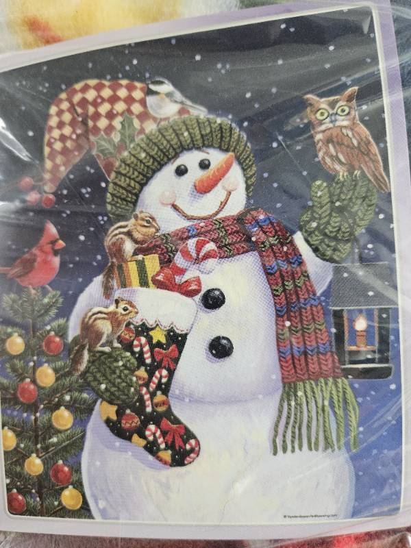  Outus 24 Pcs Christmas Snowman 5D Let it Snow DIY