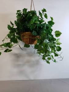 lot 136 image: 8 Hanging Basket of Faux Ivy
