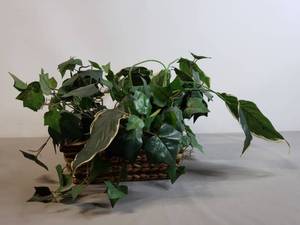 lot 138 image: 12 Wide Rectangular Basket w Assorted Faux Plants