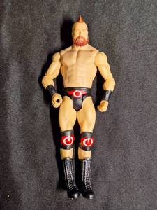 lot 194 image: SHAMEUS 2015 Mattel Loose WWE Wrestling Figure