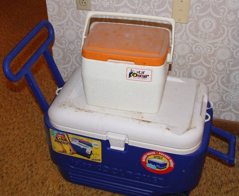 lot 4418 image: Lot of 2 Coolers