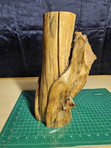 lot 5034 image: Beautiful Petrified Wood