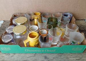 lot 5095 image: Lot Of 25 Shot Glasses