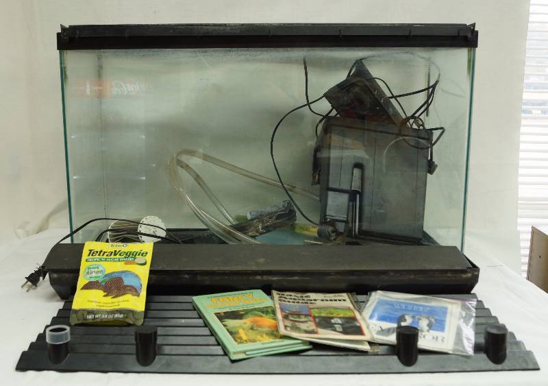 lot 6163 image: BIG Approx 30 gallon Fishtank - Everything you need - see photo