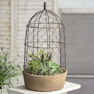 lot 49056 image: Tall Chicken Wire Cloche with Terra Cotta Pot