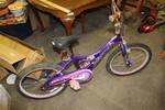 Hannah Montana Bicycle - back tire needs fixed