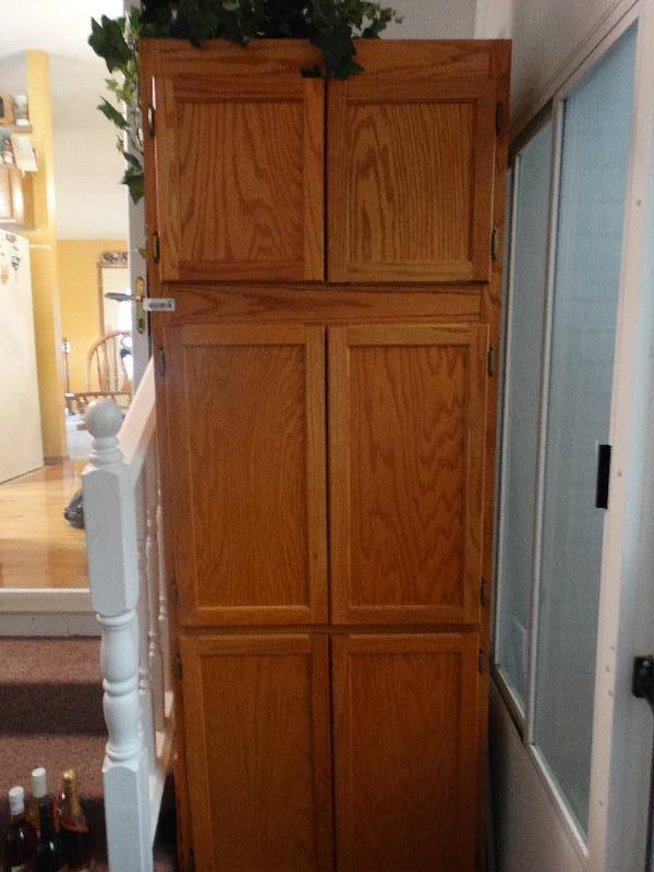 lot 593 image: Pantry cabinet