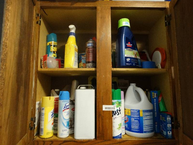 lot 631 image: Lot of cleaners, laundry soap & misc.