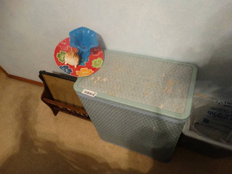 lot 753 image: Clothes hamper, magazine rack, yard art