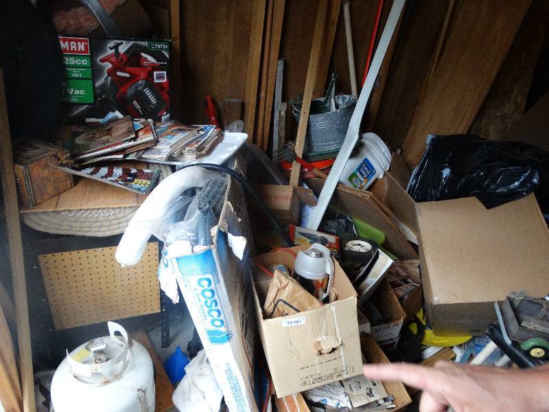 lot 1664 image: All other contents of shed- work table, Christmas decor, lawn & garden items, misc.