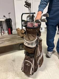 lot 21 image: Palm Springs woman , 7 irons, 2 woods, with golf bag
