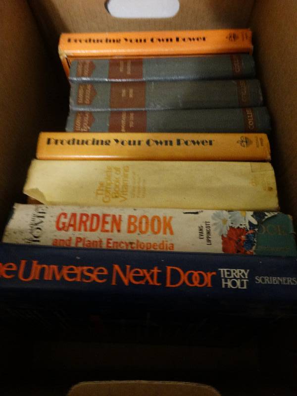 lot 191 image: 2 boxes of assorted books.