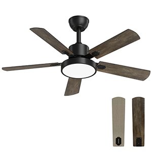 Bundle] Ceiling fan Kisa Deluxe BN Oak / Walnut with lights