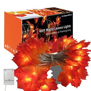 lot 20956 image: HEDYNSHINE Christmas Decorations Lights, 100 LEDs 40ft Indoor String Lights for Home Dcor,Home Autumn Garland Fall Decor, Maple Leaves Lights Ultra Long
